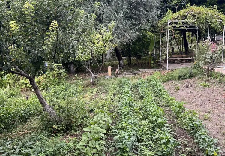 7 otaqlı mənzil Satılır, Oğuz