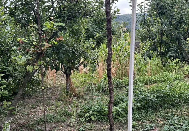 7 otaqlı mənzil Satılır, Oğuz
