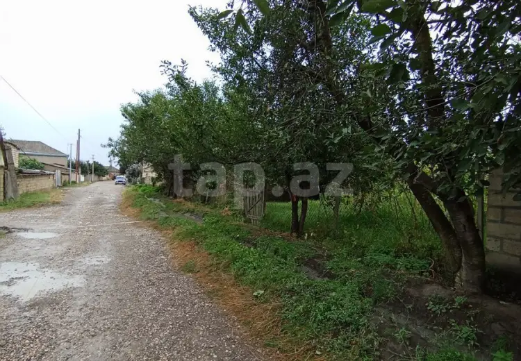0 m² Obyekt / Ofis , Quba