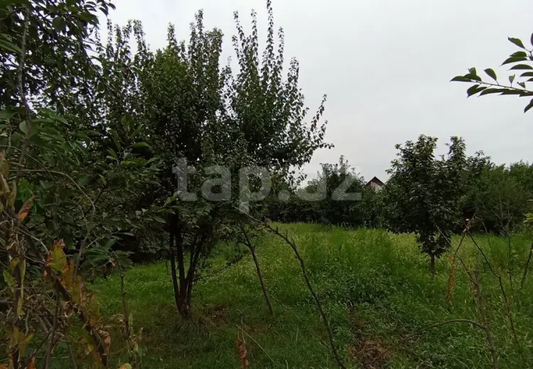 0 m² Obyekt / Ofis , Quba