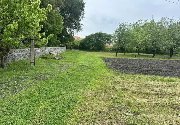 13 sot Torpaq Satılır, Zaqatala
