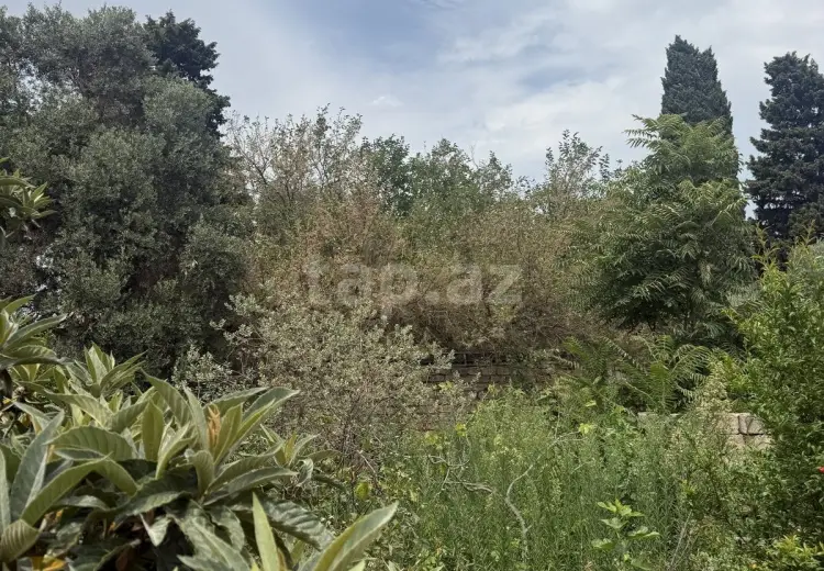 7 otaqlı mənzil , Bakı