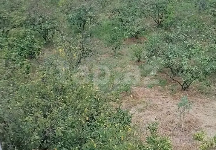 4 otaqlı mənzil , Astara