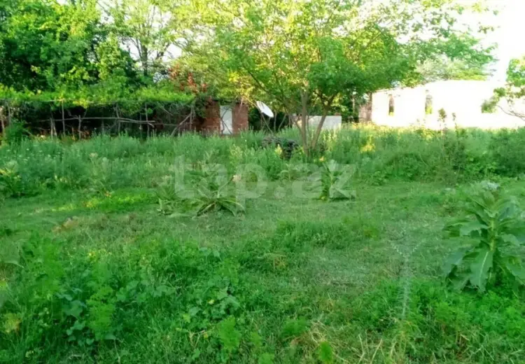 0 m² Obyekt / Ofis , Şəki