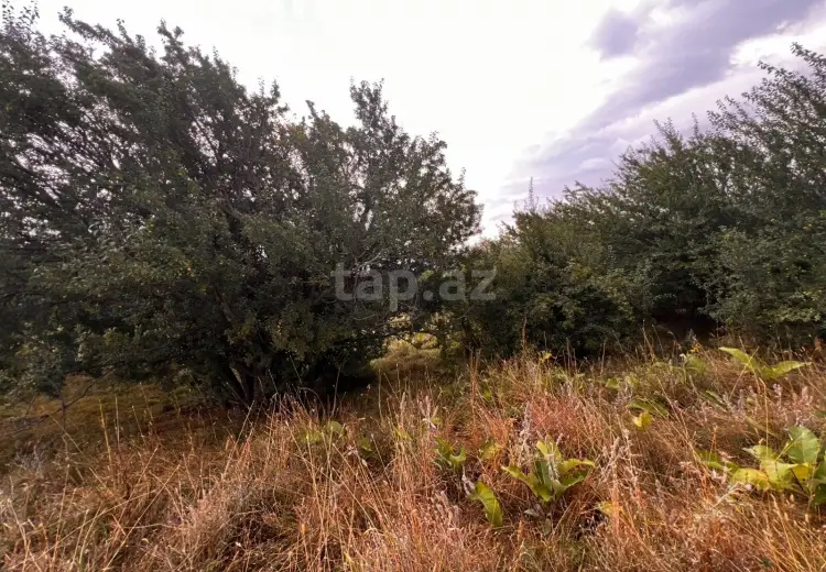 0 m² Obyekt / Ofis , Xızı