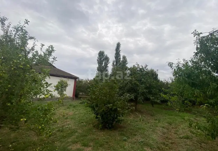 3 otaqlı mənzil , Xaçmaz