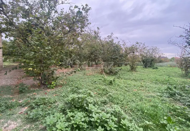 3 otaqlı mənzil , Xaçmaz