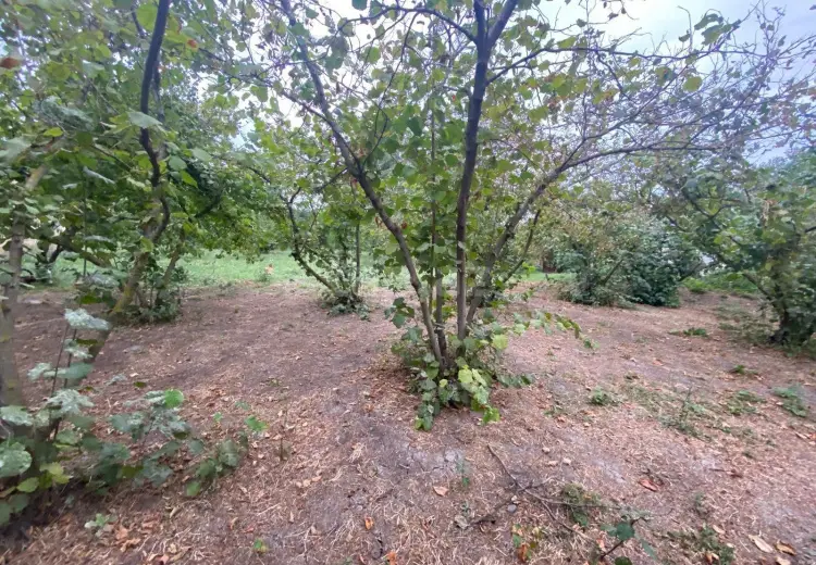 3 otaqlı mənzil , Xaçmaz