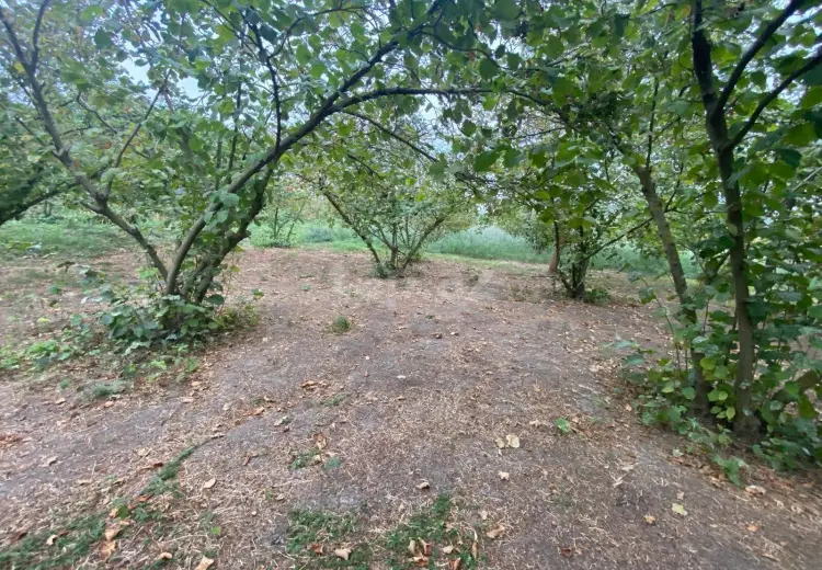 3 otaqlı mənzil , Xaçmaz