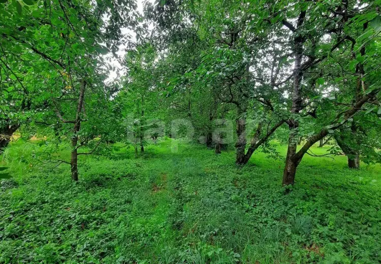 0 m² Obyekt / Ofis , Quba