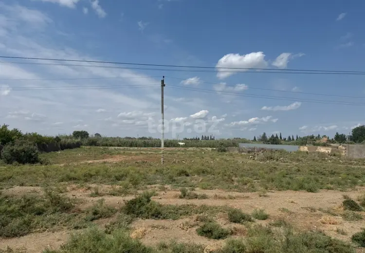 0 m² Obyekt / Ofis , Salyan