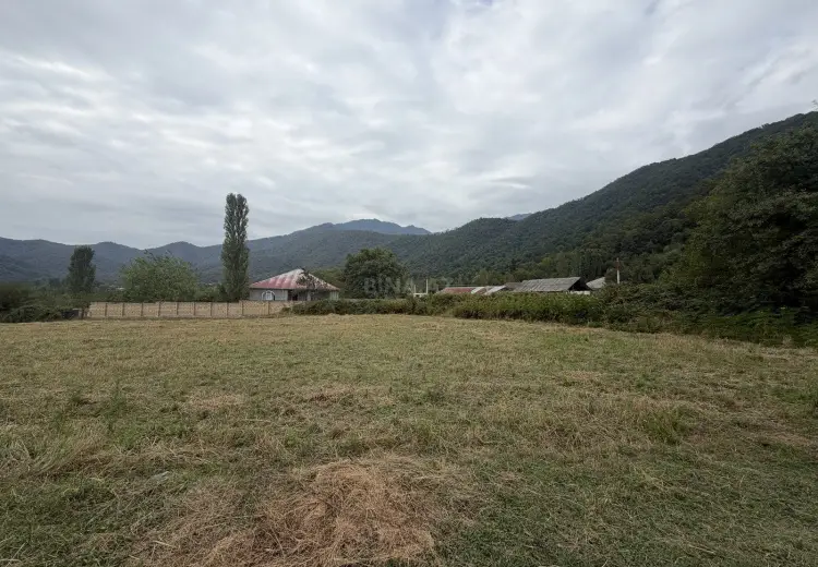 51 sot Torpaq Satılır, Qəbələ