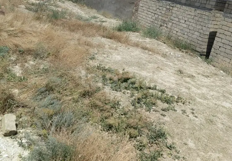 0 m² Obyekt / Ofis , Hökməli, Abşeron