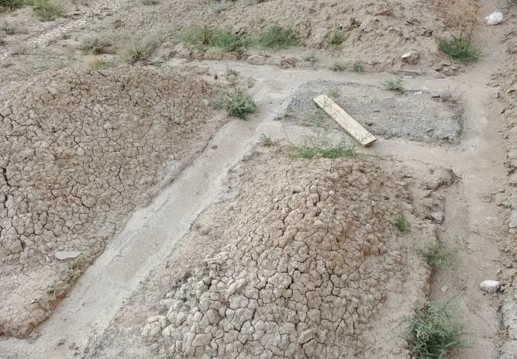5.5 sot Torpaq Satılır, Pirşağı qəs., Sabunçu, Bakı