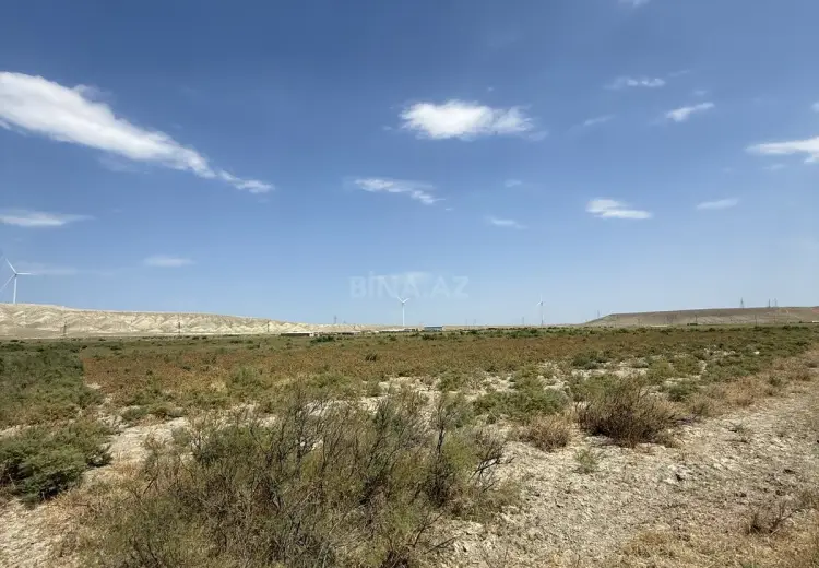 315 sot Torpaq Satılır, Abşeron