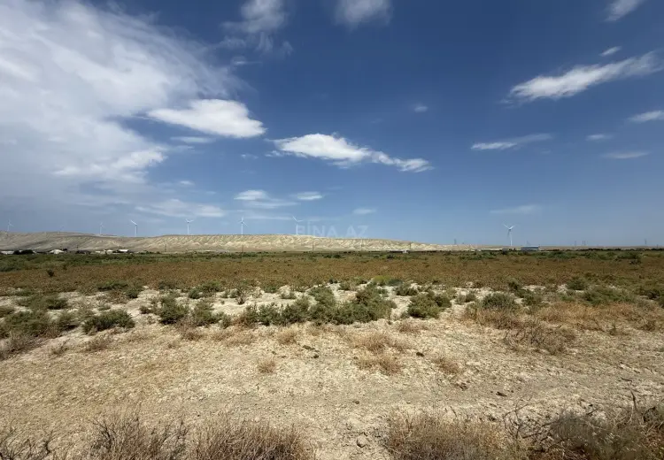 315 sot Torpaq Satılır, Abşeron