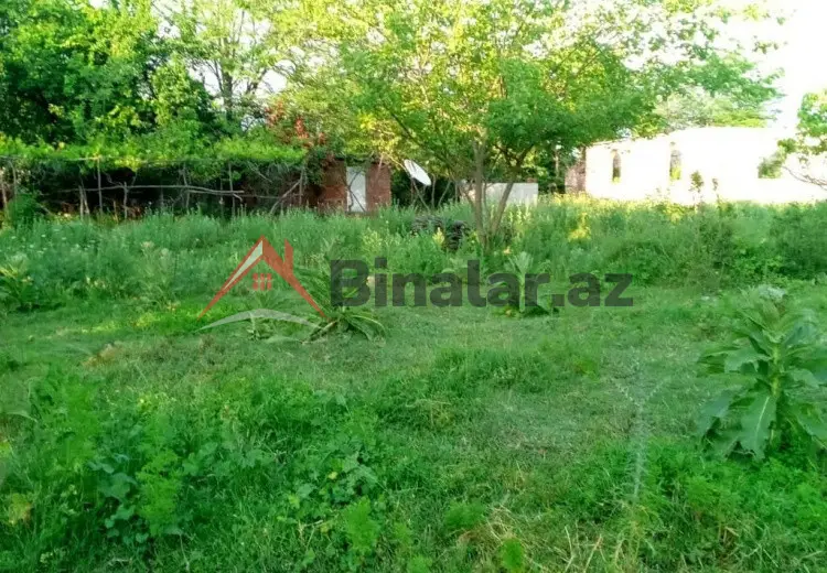 60 sot Torpaq Satılır, Qax