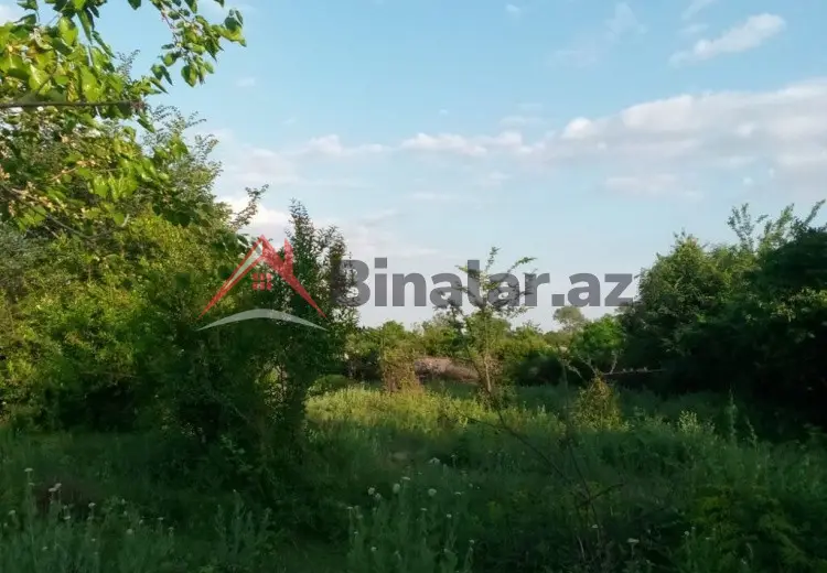 60 sot Torpaq Satılır, Qax