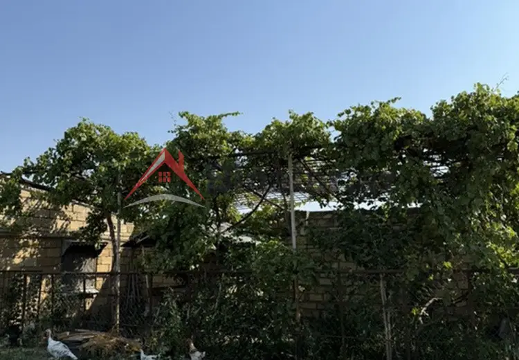 32 sot Torpaq Satılır, Samux
