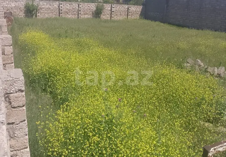 0 m² Obyekt / Ofis , Savalan qəs., Sabunçu, Bakı