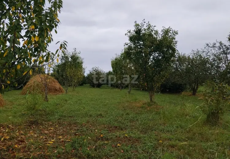 0 m² Obyekt / Ofis , Xaçmaz