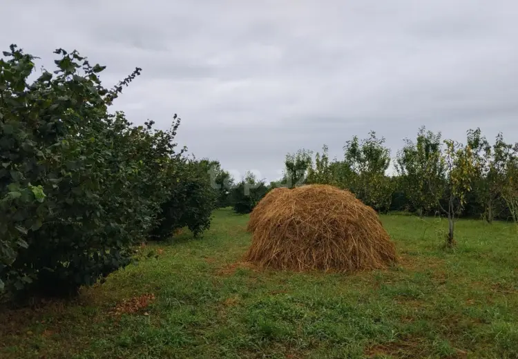 0 m² Obyekt / Ofis , Xaçmaz