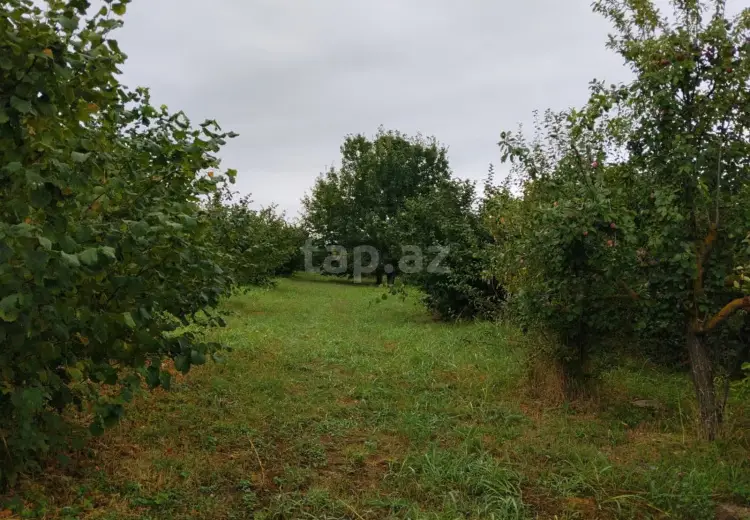 0 m² Obyekt / Ofis , Xaçmaz