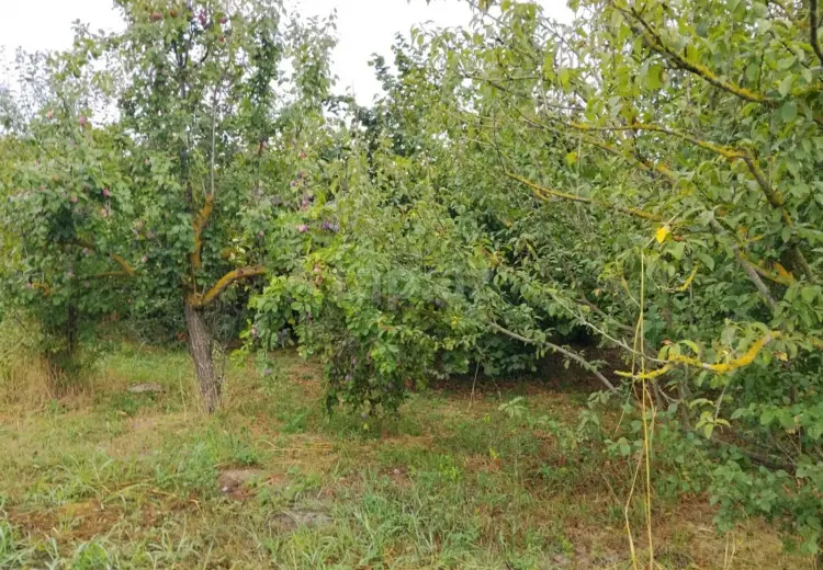 0 m² Obyekt / Ofis , Xaçmaz