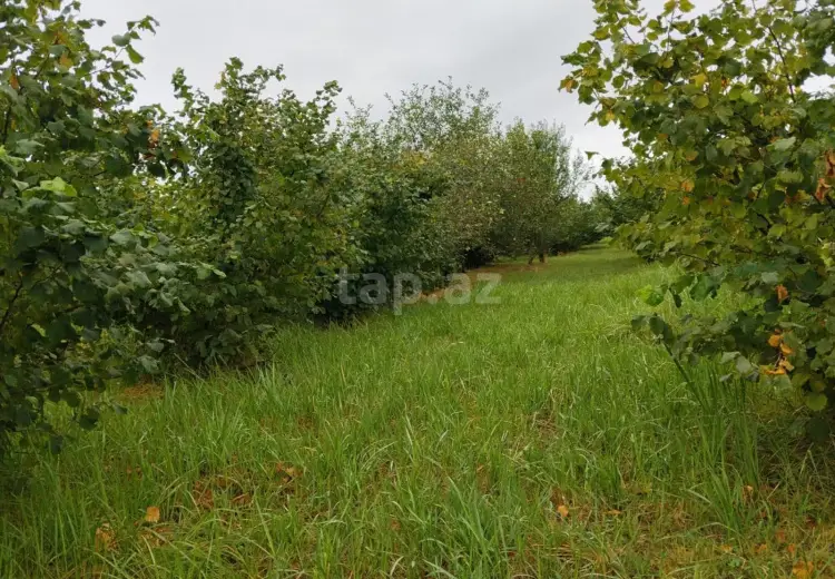 0 m² Obyekt / Ofis , Xaçmaz