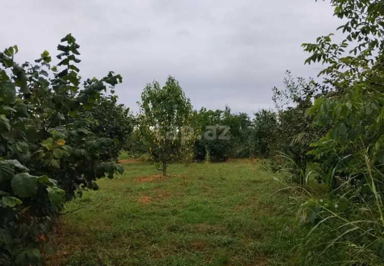 0 m² Obyekt / Ofis , Xaçmaz