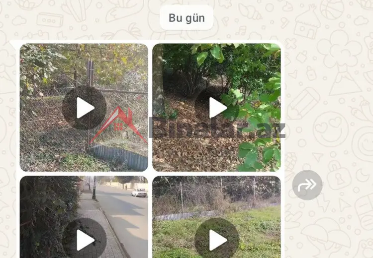 0 sot Torpaq Satılır, Masallı