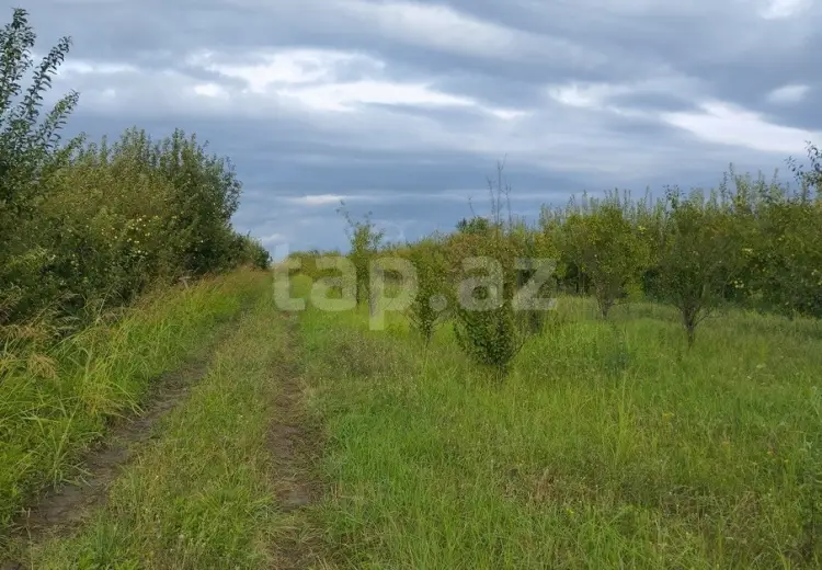 0 m² Obyekt / Ofis , Quba