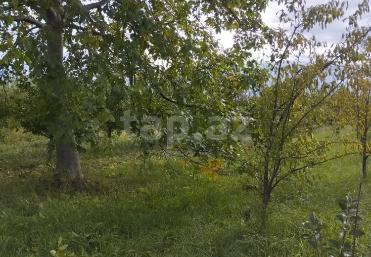 0 m² Obyekt / Ofis , Quba