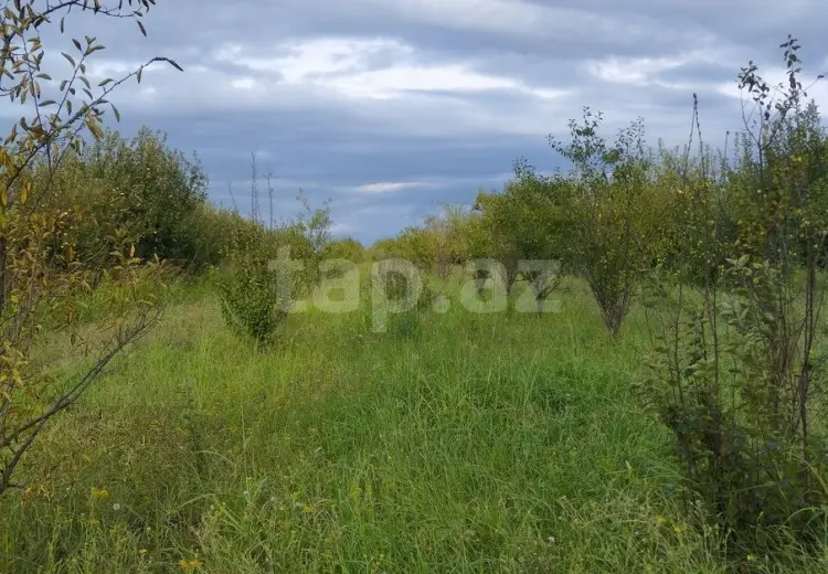 0 m² Obyekt / Ofis , Quba