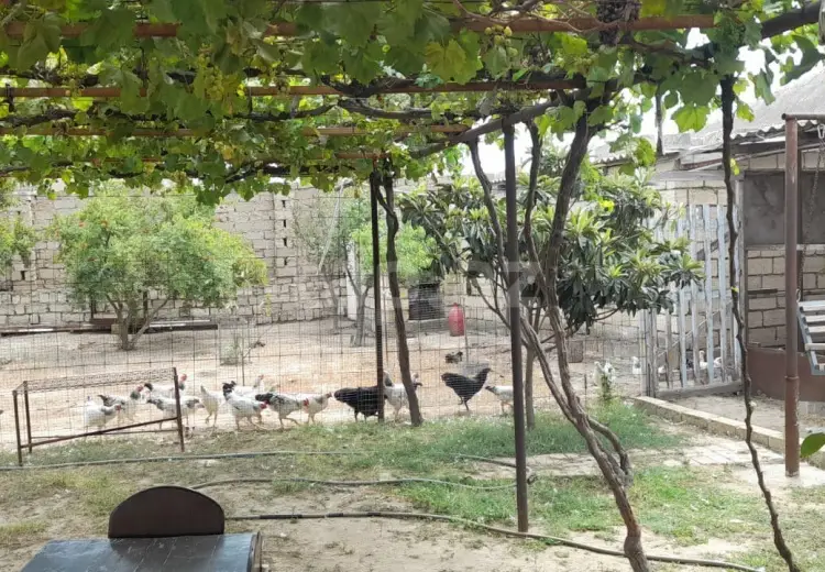 0 m² Obyekt / Ofis , Balaxanı qəs., Sabunçu, Bakı