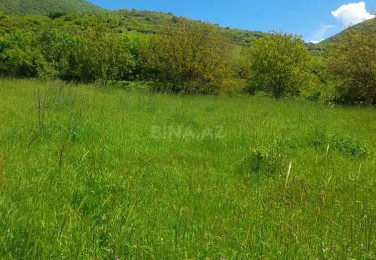 34 sot Torpaq Satılır, İsmayıllı