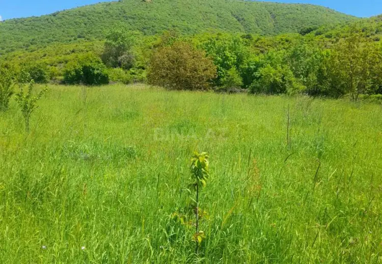 34 sot Torpaq Satılır, İsmayıllı