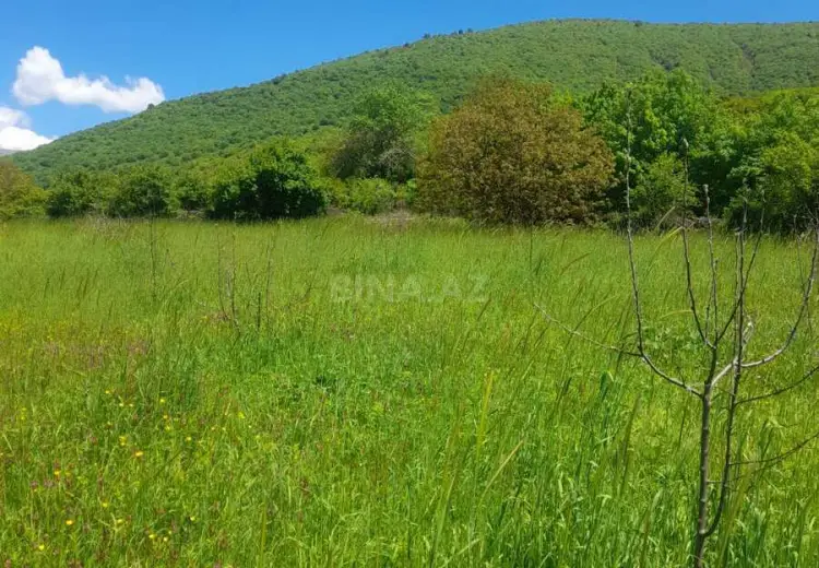 34 sot Torpaq Satılır, İsmayıllı