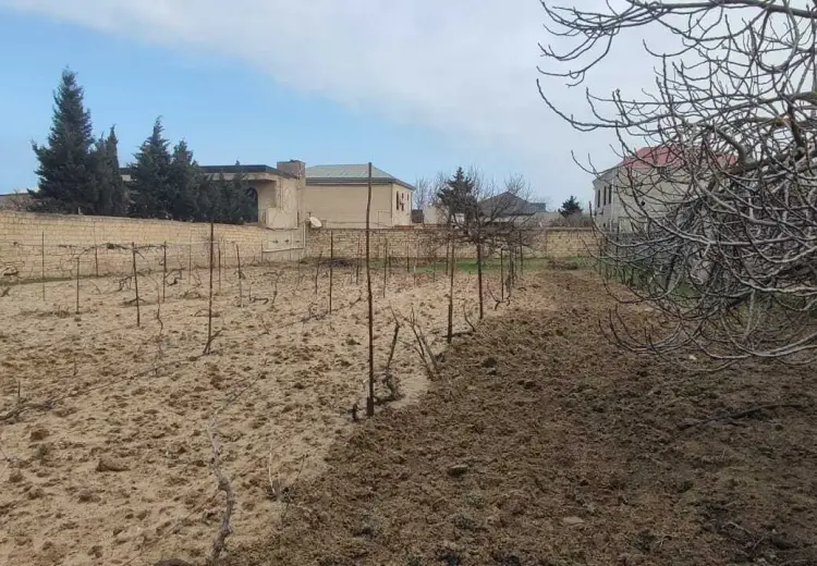 12 sot Torpaq Satılır, Novxanı, Abşeron