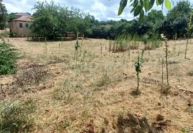 0 m² Obyekt / Ofis , Qusar