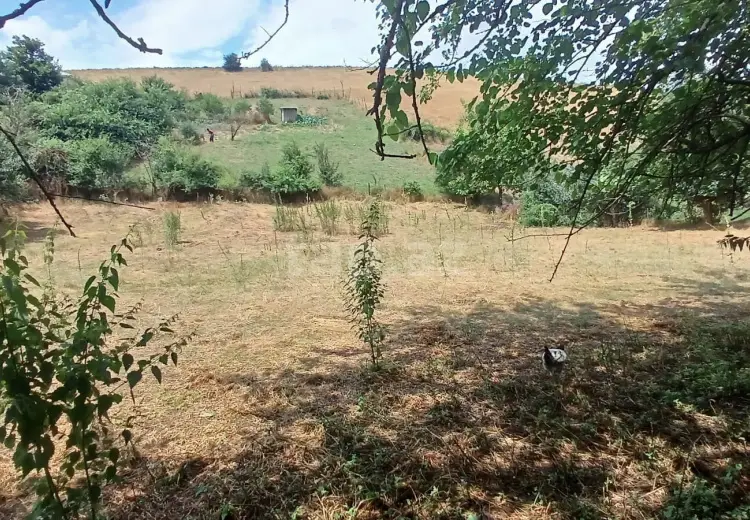 0 m² Obyekt / Ofis , Qusar