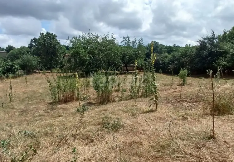 0 m² Obyekt / Ofis , Qusar