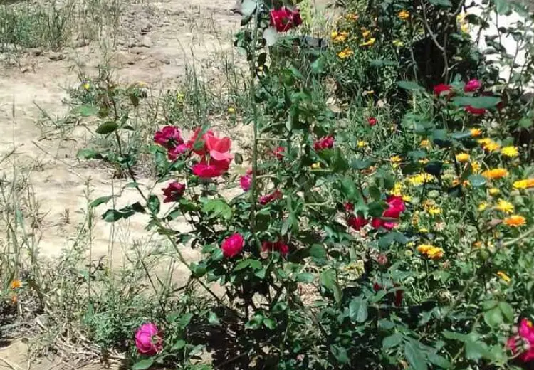 5 otaqlı mənzil Satılır, Badamdar qəs., Səbail, Bakı