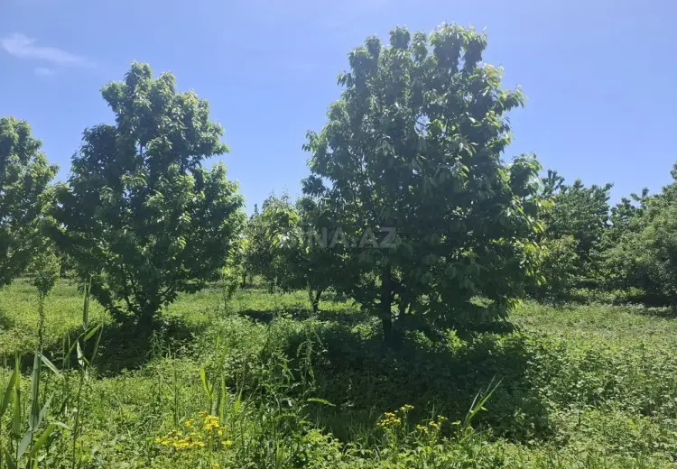 162 sot Torpaq Satılır, Quba