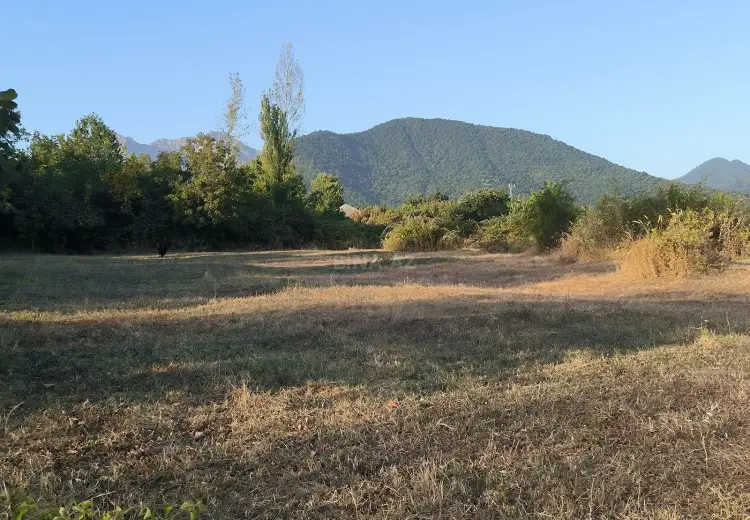 21 sot Torpaq Satılır, Qəbələ