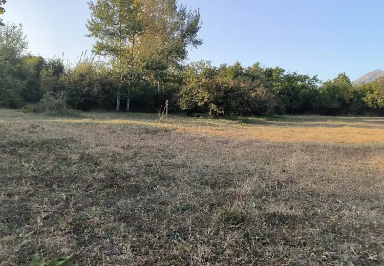 21 sot Torpaq Satılır, Qəbələ
