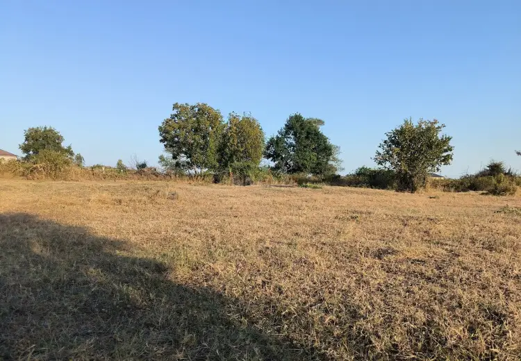 21 sot Torpaq Satılır, Qəbələ