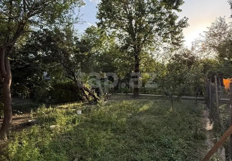 0 m² Obyekt / Ofis , Qəbələ