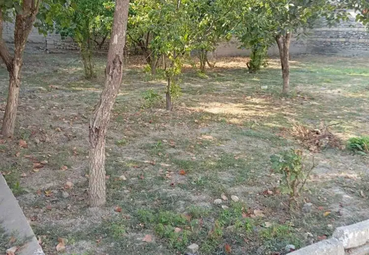 8 sot Torpaq Satılır, Göyçay