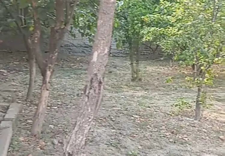 8 sot Torpaq Satılır, Göyçay